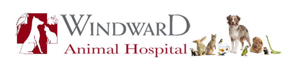 Windward Animal Hospital